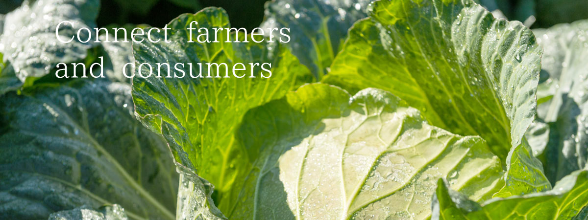Connect farmers and consumers